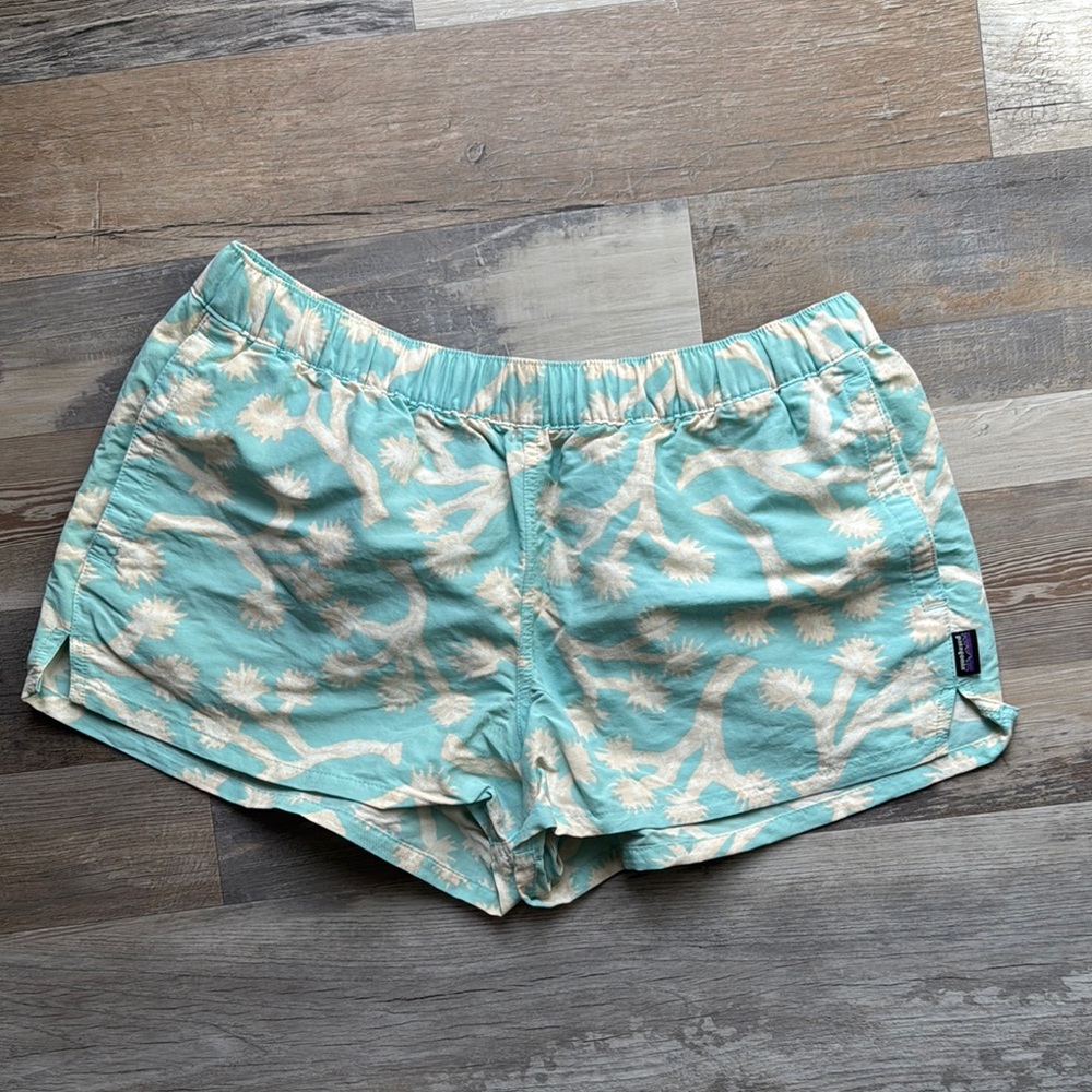 Patagonia Women's Teal and Cream Shorts